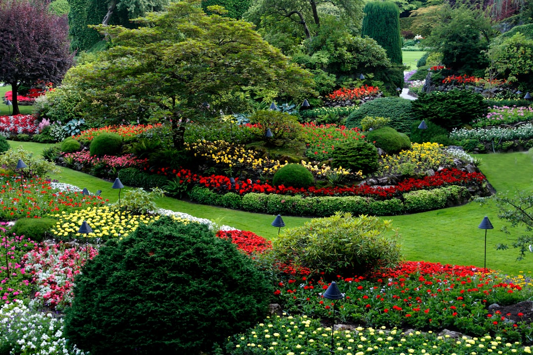 Native Garden Design