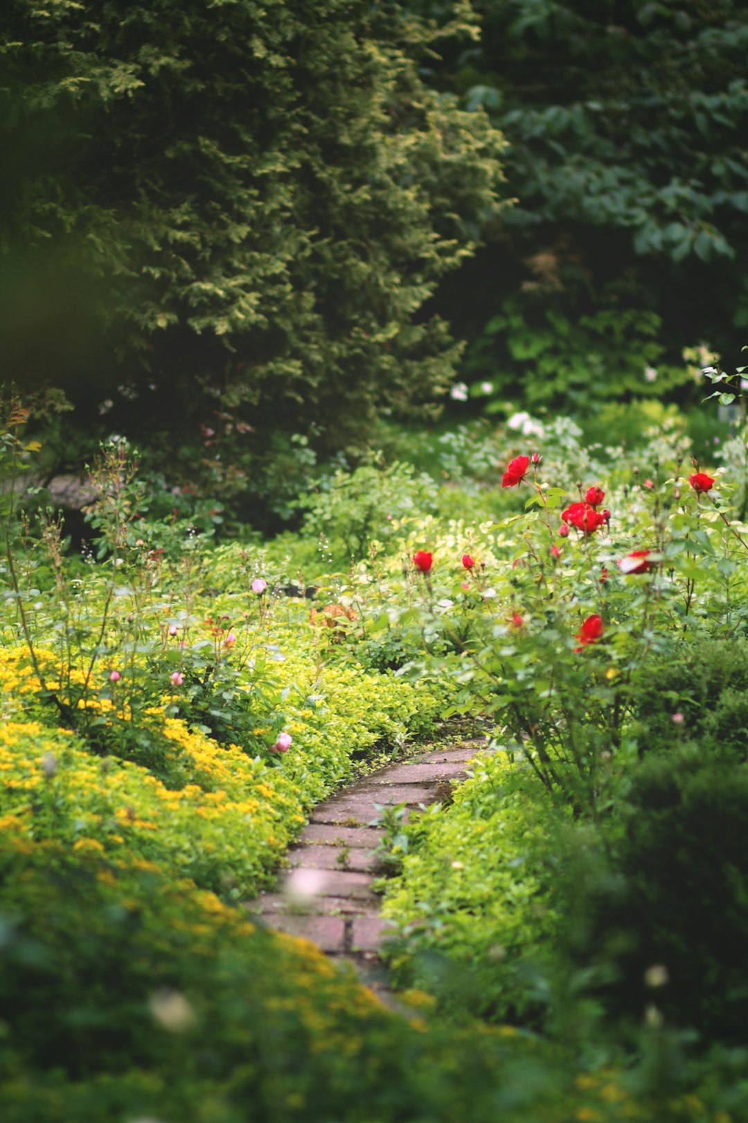 Native Garden Design