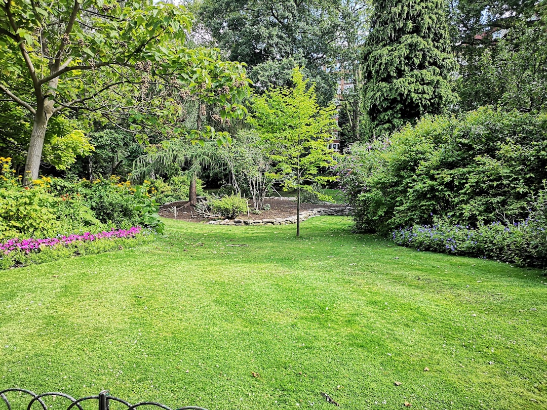 Outdoor Living